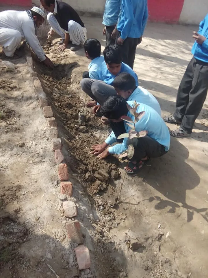 Green Seekers Activity